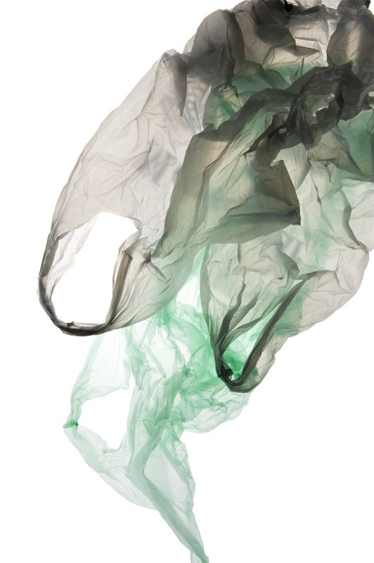 Урок «Гербарий» Пакет