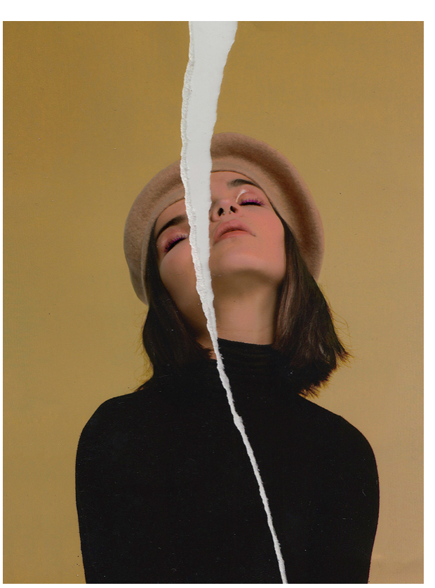 Урок «Гербарий» Пакет