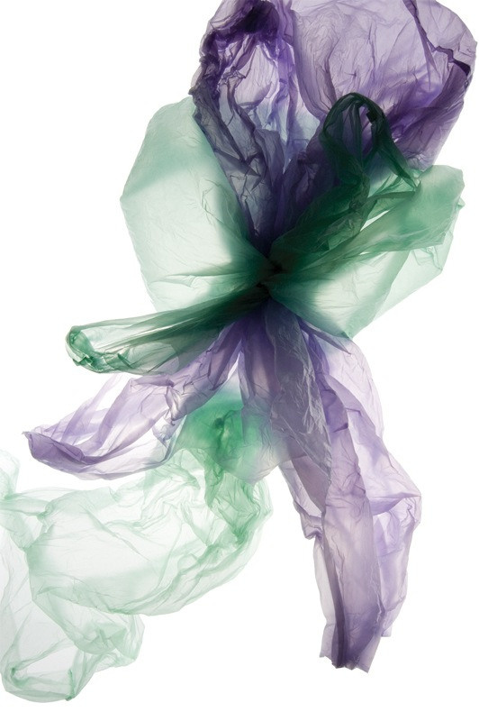 Урок «Гербарий» Пакет