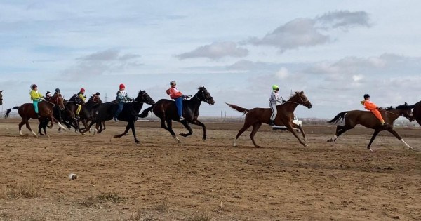 Endurance Rider Webinar Kazakhstan 2025. Liana Antanovich | Equestrian Strategies