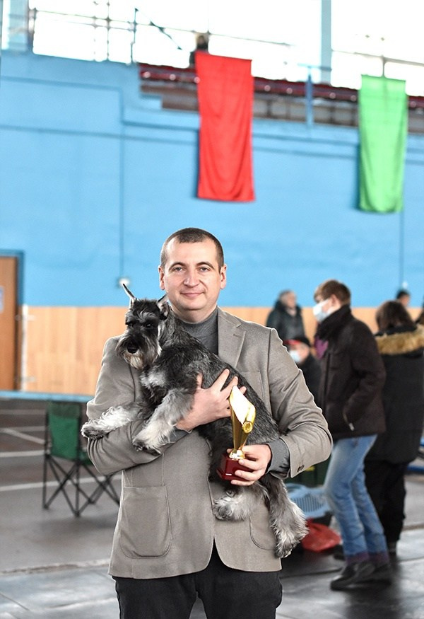 Армина/ Delinso Balance May-Armina. Питомник цвергшнауцеров в Беларуси «Делинсо Бэлэнс»