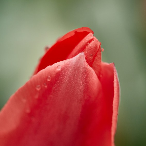 Коллекция «ПРИКОСНОВЕНИЕ». Лена Сми интерьерный и портретный фотограф. Москва и Санкт-Петербург