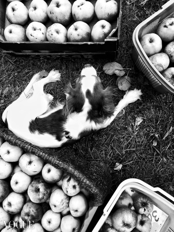 Photovogue. Tatyana Mazok creative photographer in Minsk