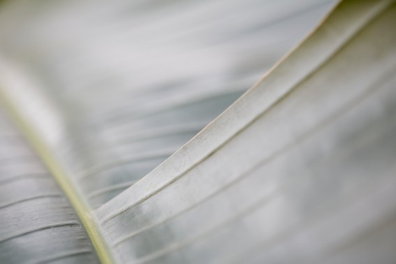 Коллекция «ПРИКОСНОВЕНИЕ». Лена Сми интерьерный и портретный фотограф. Москва и Санкт-Петербург