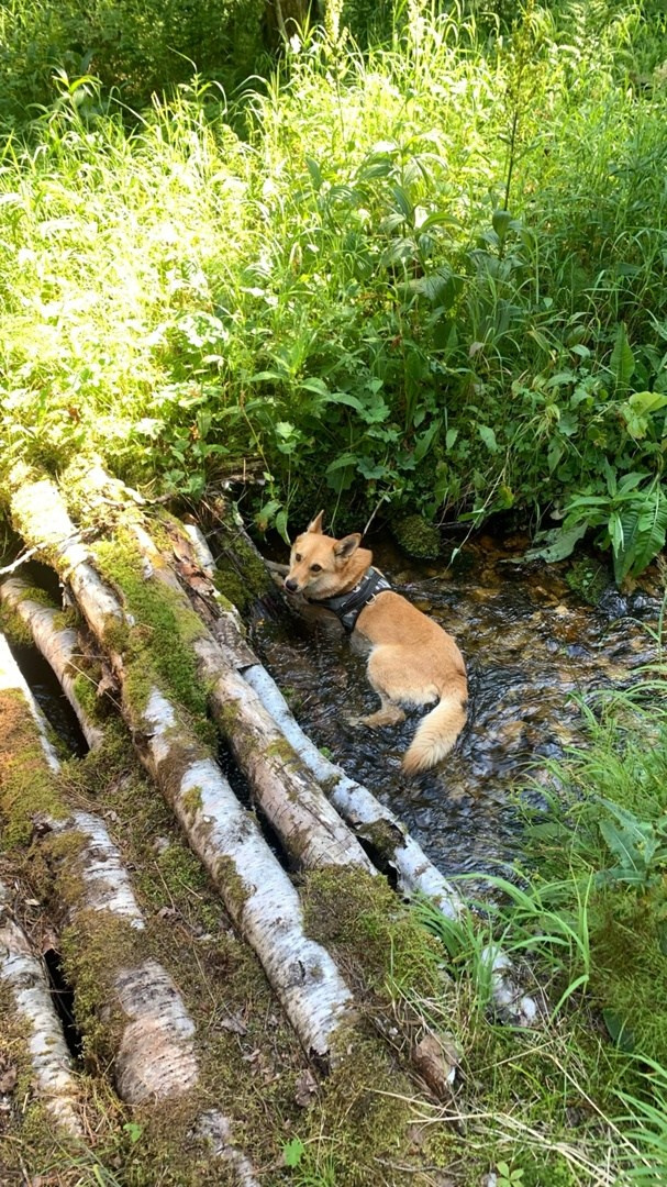 Главный Уральский Хребет