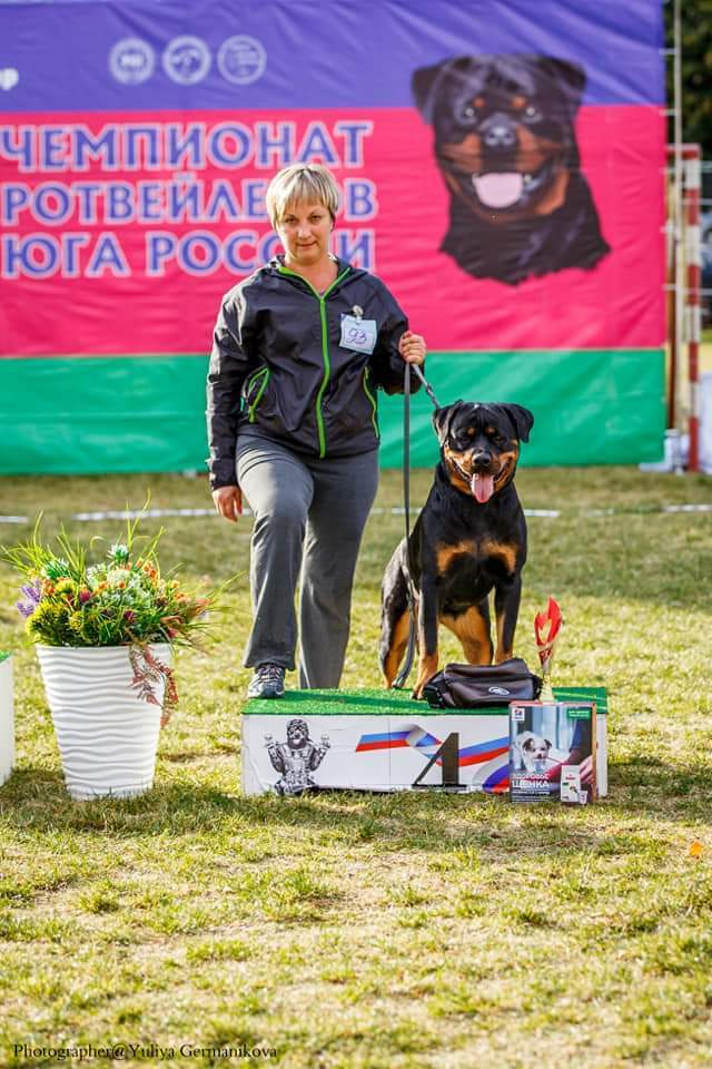 Монопородные выставки. Фотограф-анималист Юлия Германика
