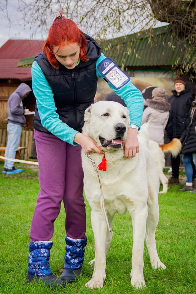 Монопородные выставки. Фотограф-анималист Юлия Германика