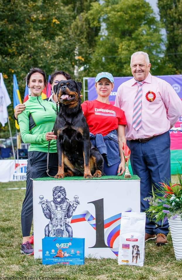 Монопородные выставки. Фотограф-анималист Юлия Германика