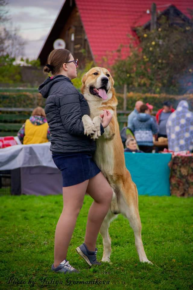 Монопородные выставки. Фотограф-анималист Юлия Германика