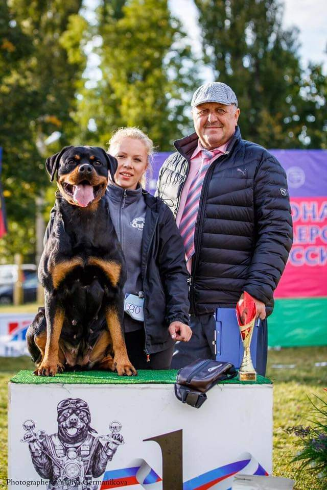 Монопородные выставки. Фотограф-анималист Юлия Германика