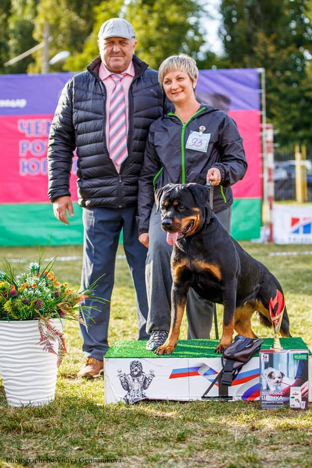 Монопородные выставки. Фотограф-анималист Юлия Германика