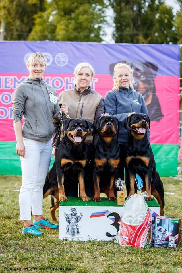 Монопородные выставки. Фотограф-анималист Юлия Германика