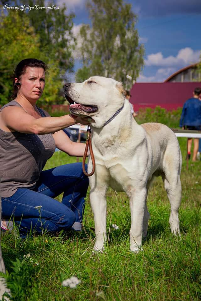 Монопородные выставки. Фотограф-анималист Юлия Германика
