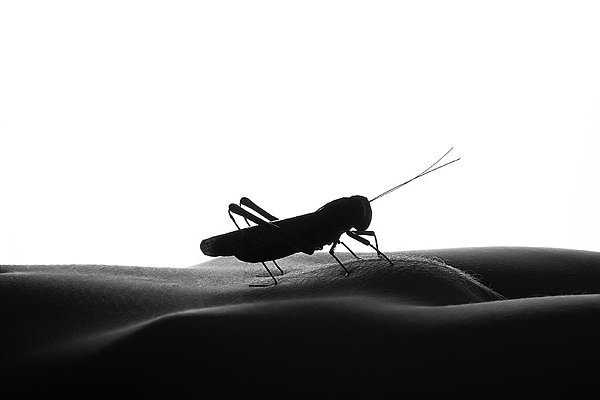 Nymphomania_2008. Ню арт, фото ню. nude, photo, ню фотограф, nude photographer, интимная