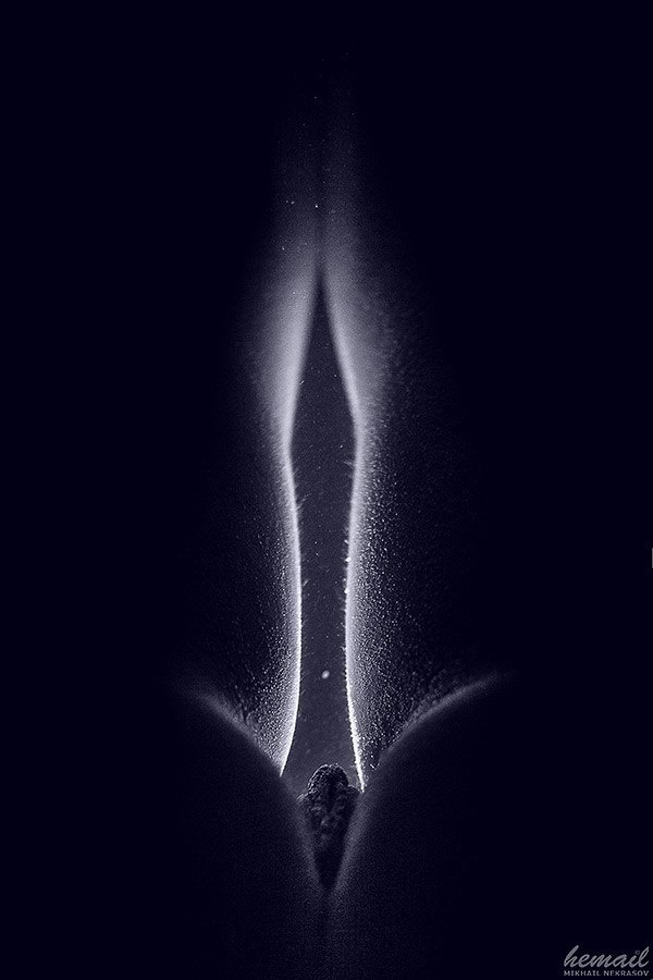 ОтNUдь-2014. Фотограф в жанре НЮ Некрасов Михаил (hemail)