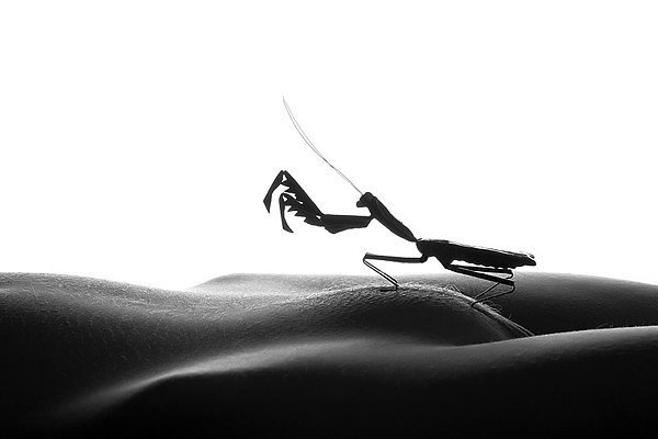 Nymphomania_2008. Ню арт, фото ню. nude, photo, ню фотограф, nude photographer, интимная