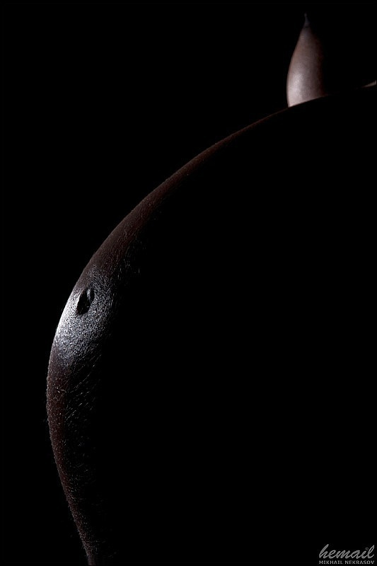 Прекрасные линии!. Фотограф в жанре НЮ Некрасов Михаил (hemail)