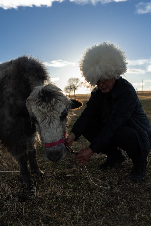 Репортаж из КЧР). Семейный фотограф и видеограф Алёна Ким