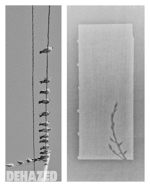 Галерея 2. Наталья Жукова. Курсы фотографии