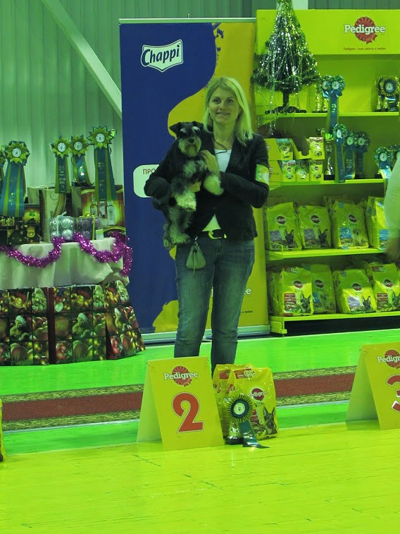 Леля/Asson Ari Unara Valeri. Питомник цвергшнауцеров в Беларуси «Делинсо Бэлэнс»