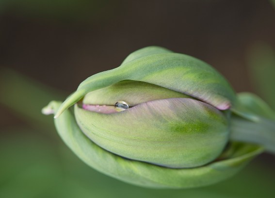 Коллекция «ПРИКОСНОВЕНИЕ». Лена Сми интерьерный и портретный фотограф. Москва и Санкт-Петербург