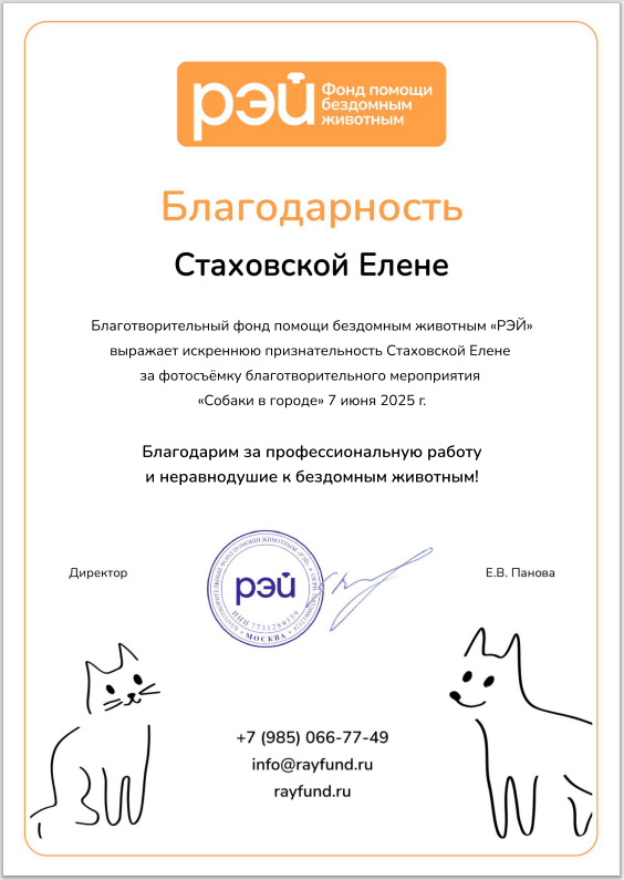 Благодарственные письма. Портретный и семейный фотограф в Москве Стаховская Елена