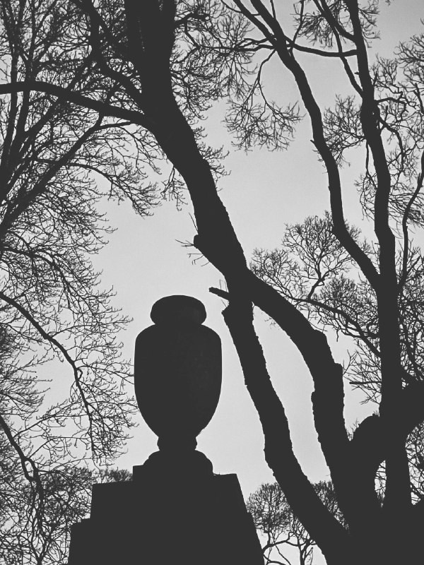 Петербург. Фотограф — Маслеников Константин