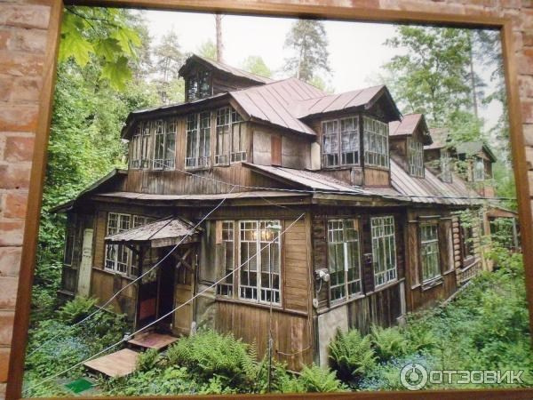 КРАТОВСКИЕ ДАЧИ. Фотограф для маркетплейсов Михаил Бове