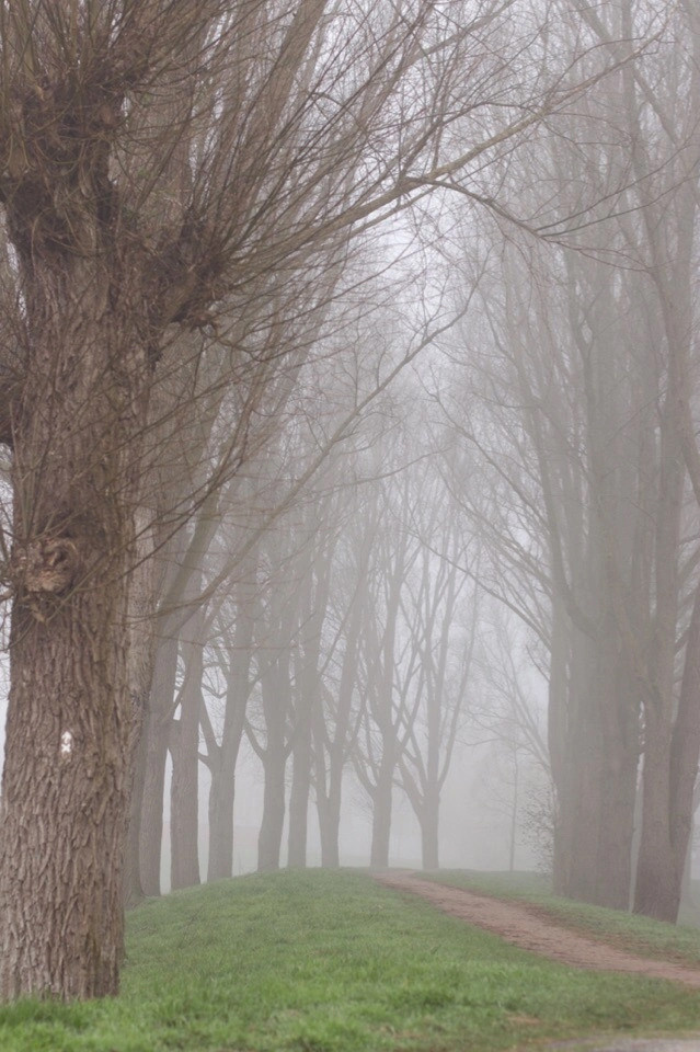 Работы учеников курса по фотографии (вебинар). Наталья Рапопорт. Онлайн-курсы по фотографии и съемке видео