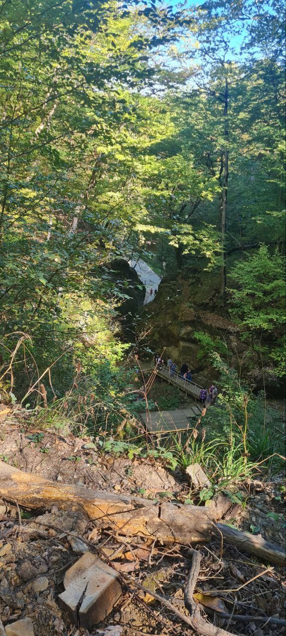 Горячий Ключ (2024-09-22). Собор Отрасли