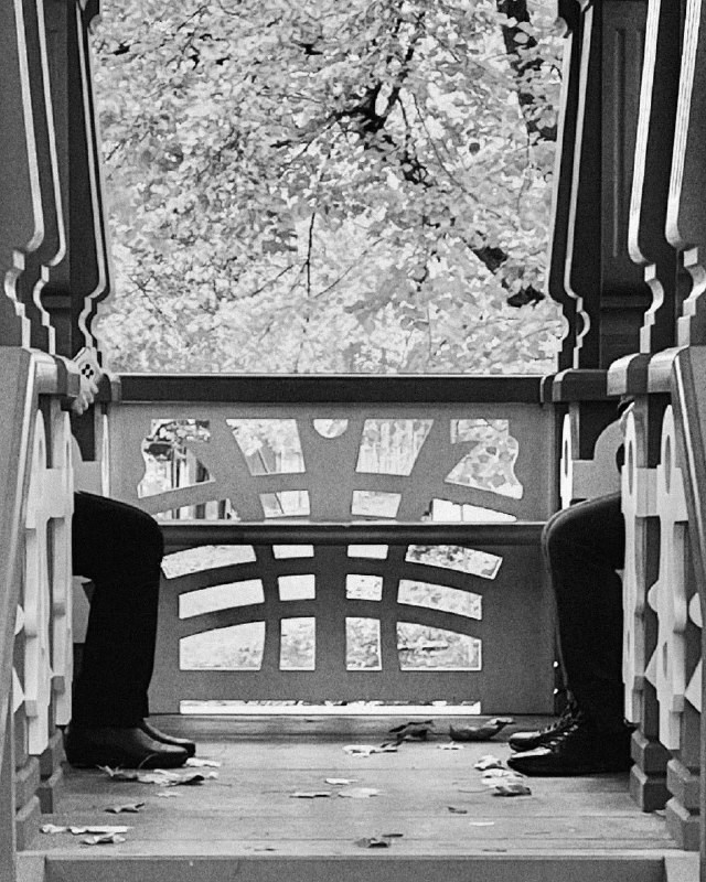 Стрит. Фотограф — Маслеников Константин