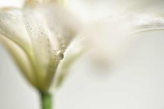 Коллекция «ПРИКОСНОВЕНИЕ». Лена Сми интерьерный и портретный фотограф. Москва и Санкт-Петербург