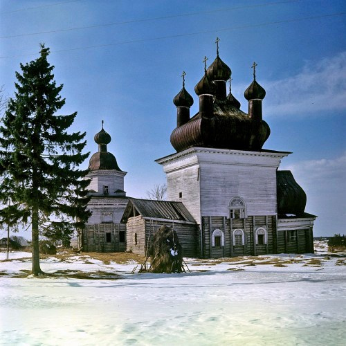 Архангельская обл.