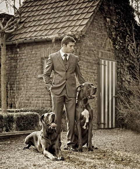 Собаки. Фотограф для маркетплейсов Михаил Бове