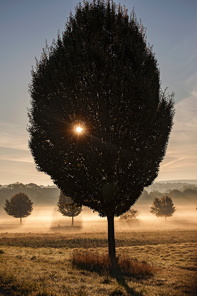landscape, Landschaft, пейзаж, Германия, Germany, Deutschland, NRW, photo, фото