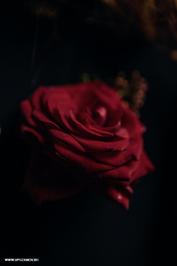 Свадебная фотосъемка, видео, свадебный фотограф, фотограф видеограф