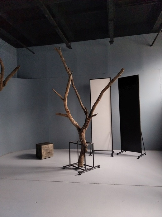 Студия Time. Свадебный и семейный фотограф в Воронеже Катя Фишка