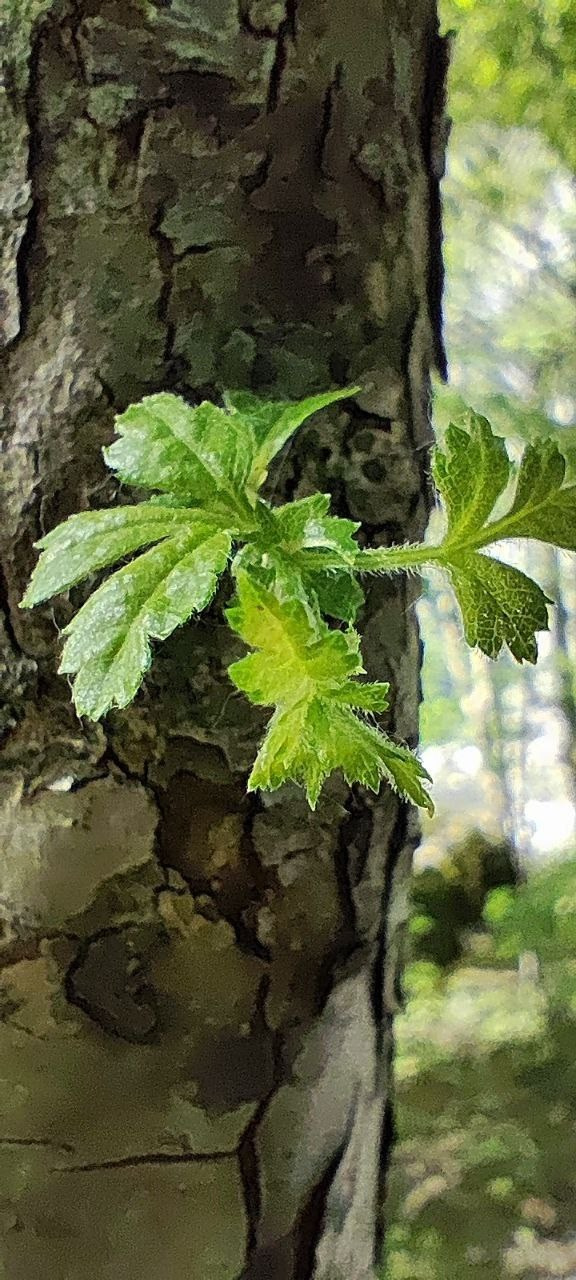 Горы 2025. Собор Отрасли