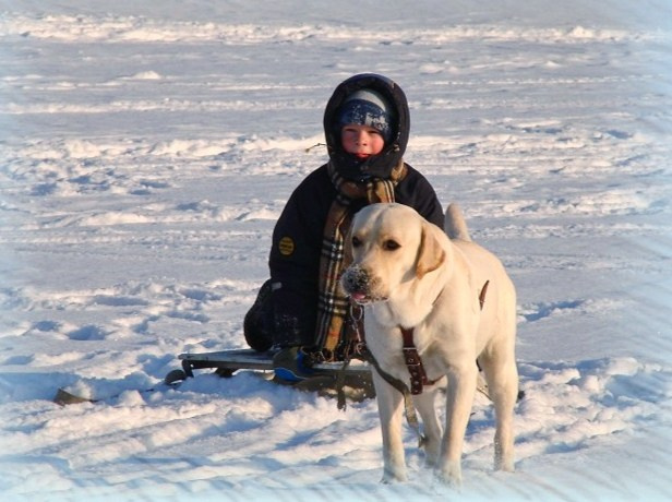 Репортаж. Фотограф в Санкт Петербурге Viktory_Get