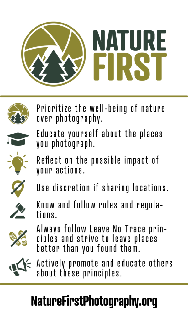 Публикации. Репортажный фотограф в Берлине Александра Герман