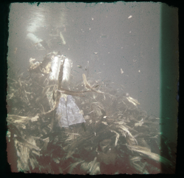 Пионеры советского подводного кино для журнала Mare. Пётр Антонов