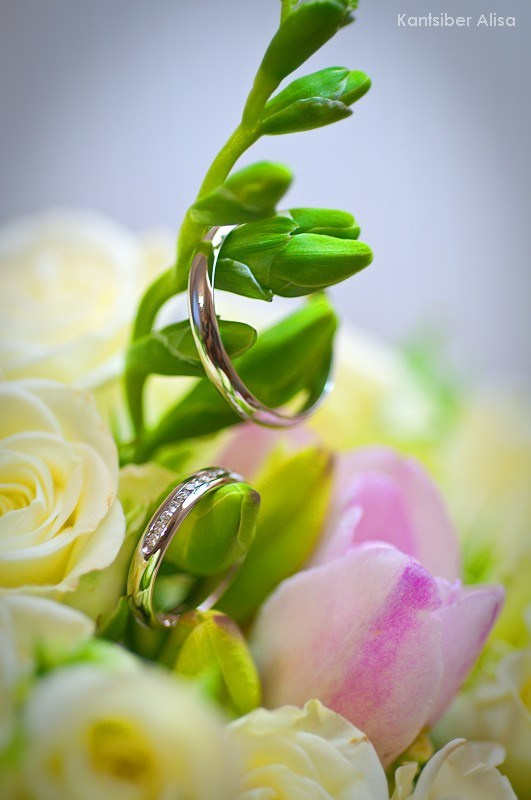 Свадьбы разные. Фотограф Алиса Канцибер. Москва. Портрет, семейное фото, свадьбы