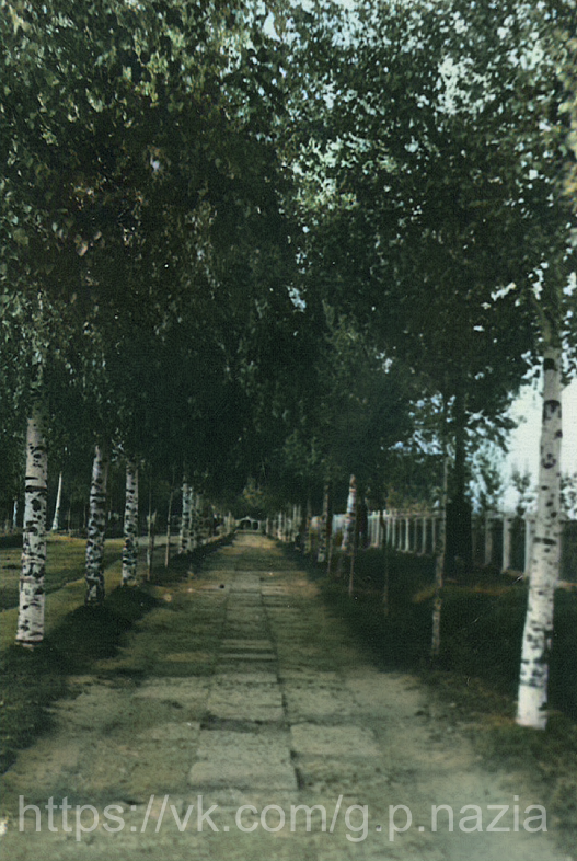 Назия в 1950-х и 1970-х. История Назиевского городского поселения