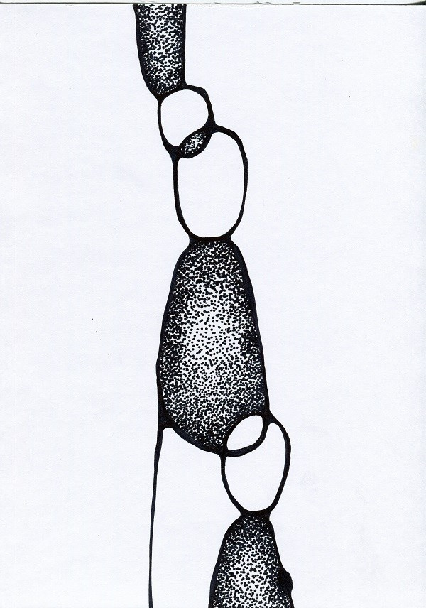 ГРАФИКА. Натали Бордо/ Natalie Bordo художник