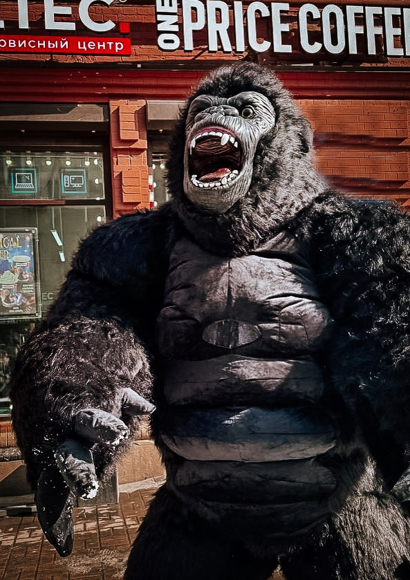 Эксперсс поздравление.ростовые куклы, медведь, панда, горилла. Организатор праздников. Ведущая Марина Гребенникова