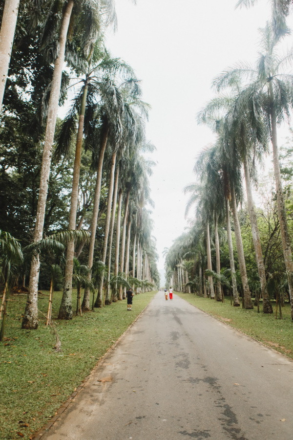 Отчет о путешествии на Шри-Ланку, блог о путешествии на Шри-Ланку. Свадебный фотограф в Санкт-Петербурге Никита Кузякин