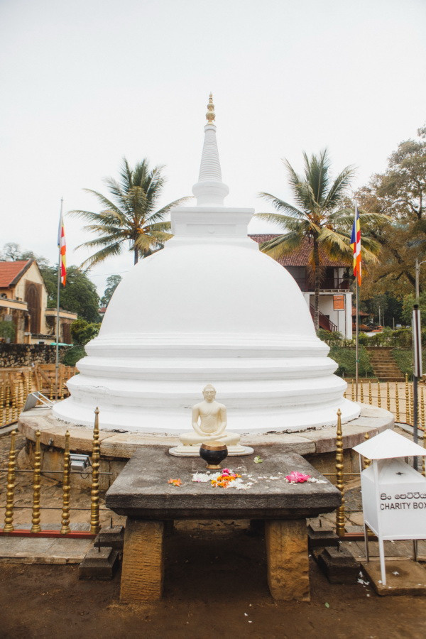 Отчет о путешествии на Шри-Ланку, блог о путешествии на Шри-Ланку. Свадебный фотограф в Санкт-Петербурге Никита Кузякин