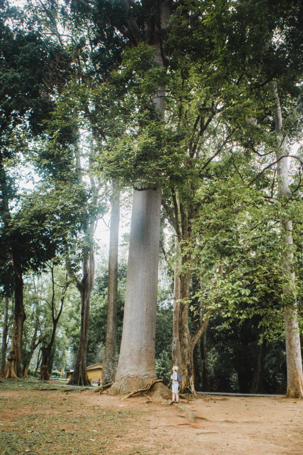 Отчет о путешествии на Шри-Ланку, блог о путешествии на Шри-Ланку. Свадебный фотограф в Санкт-Петербурге Никита Кузякин