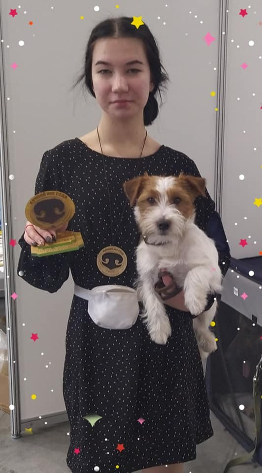 Джек рассел терьер. Выпускник питомника. КАНЕ МАЭСТРО — питомник Джек рассел терьеров