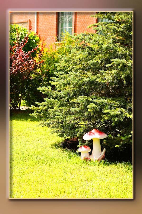 Ландшафтный дизайн. Skazka.wfolio.pro